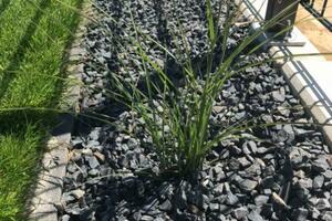 IMG-20230320-WA0030